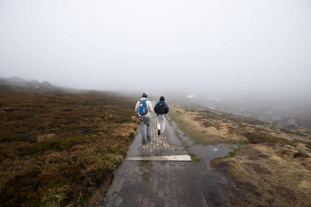 walking into the mist